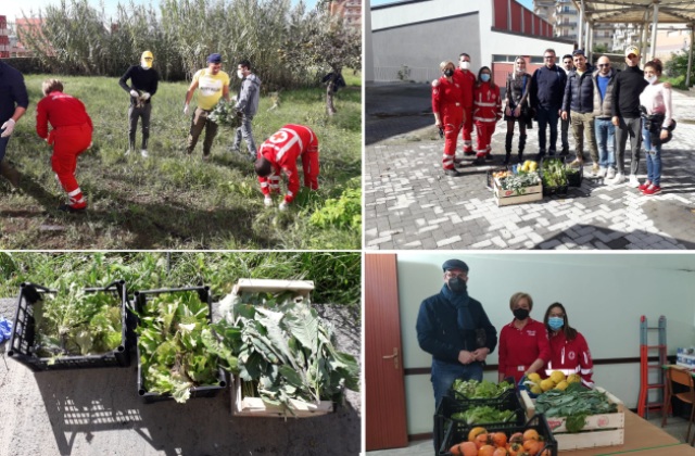 Ortaggi donati dai migranti del SAI “Vizzini appartamenti”, grazie al "Grow Your Future" 