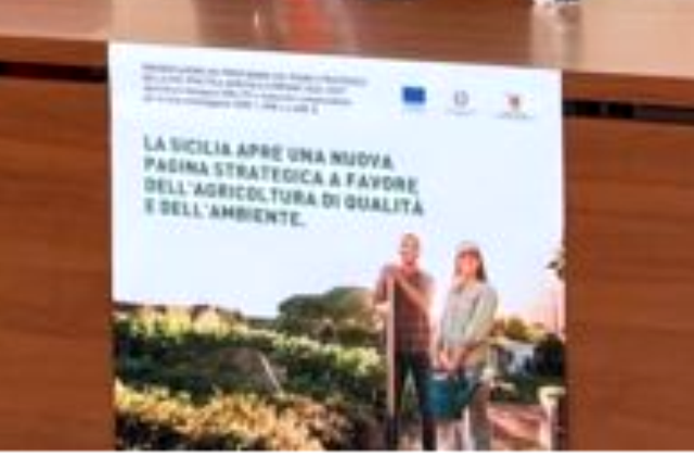 Agricoltura, in Sicilia 142 milioni per i bandi su biologico e indennità compensativa