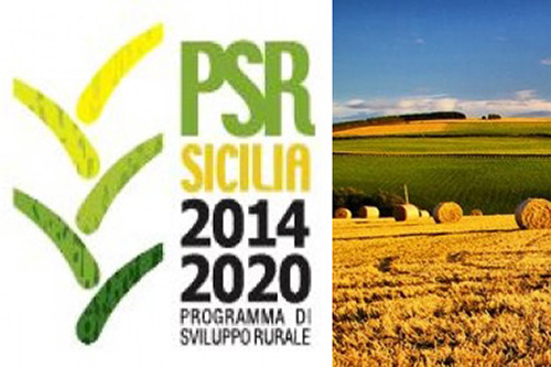 Psr Sicilia, ferme tre misure per lo sviluppo. Ecco perchè