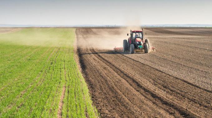 Bando "Agricoltura":  25 milioni, scadenza a Dicembre