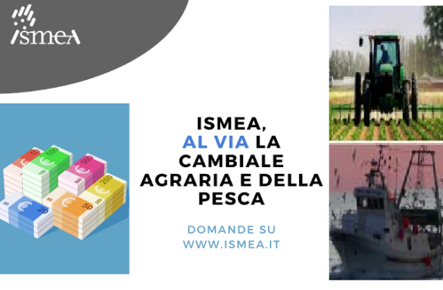 ISMEA. Cambiale agraria e della pesca: da ieri, lunedì 12, le domande si possono presentare 