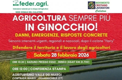 "Agricoltura sempre più in ginocchio!". Domani, sabato 28, sopralluoghi e conferenza stampa di Feder.Agri. e MCL Calatino