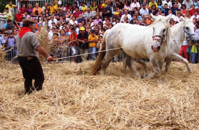 Raddusa si prepara alla 28^ “Festa del Grano” che si svolgerà nei giorni 6, 7 e 8 settembre