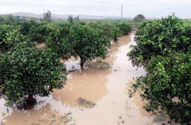 Piogge alluvionali: aiuti per 14 milioni di euro ad aziende agricole siciliane danneggiate nel 2018