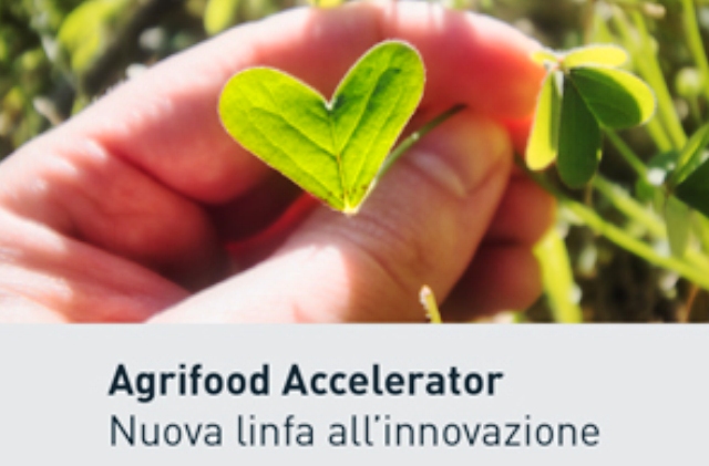 Il Sud spinge l’acceleratore su 10 startup innovative dell’agroalimentare