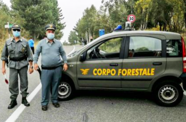 Forestali, Regione Siciliana firma convenzione con Foragri per la formazione continua