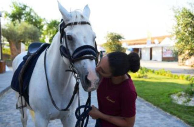 Sport equestri, la "Fiera mediterranea del cavallo" per la prima volta a Palermo