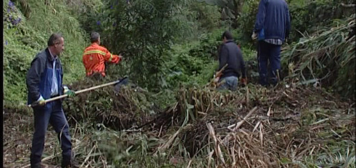 Caltagirone: operai forestali a lavoro per ridurre il rischio idrogeologico