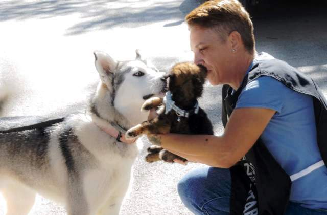 Caltagirone, adottati anche due cuccioli nella Giornata microchippatura gratuita del cane