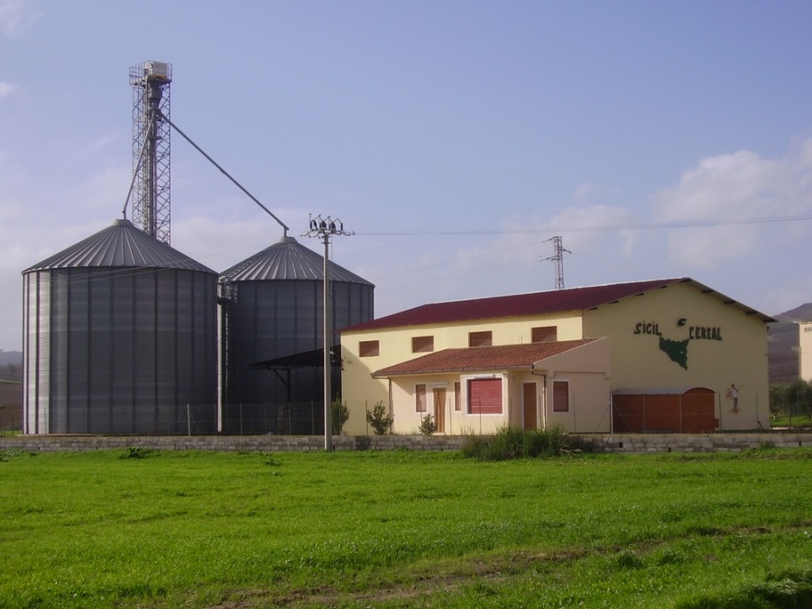 RADDUSA,  “LA CRISI DELLA COMMERCIALIZZAZIONE DEL GRANO DURO”