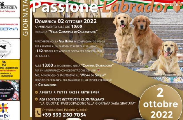 “Passione Labrador” a Caltagirone: domenica 2 ottobre, giornata dedicata agli amici a quattro zampe (aperta a tutte le razze Retriever)    