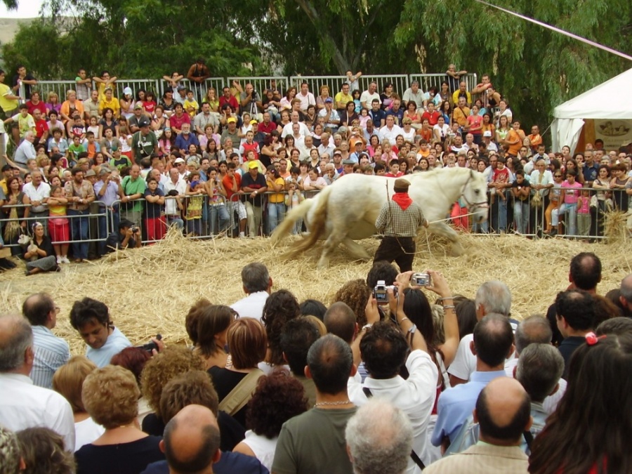 Raddusa si prepara alla 23° edizione della Festa del Grano