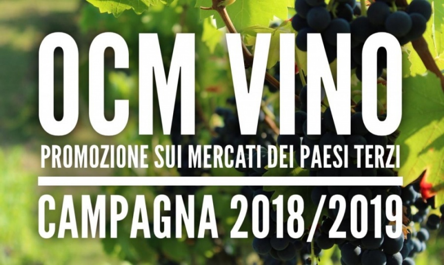 Promozione del vino OCM all’estero, contributi a fondo perduto pari al 50% per le spese