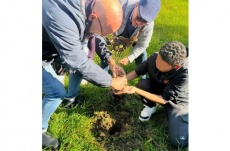 SAI "Gela MSNA". Il sedicenne egiziano M. racconta la sua prima Festa dell’Albero 