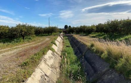 Regione Siciliana. Palagonia, bando per il "Cavazzini". Il presidente Schifani: «Tuteliamo il lavoro nella Piana di Catania»