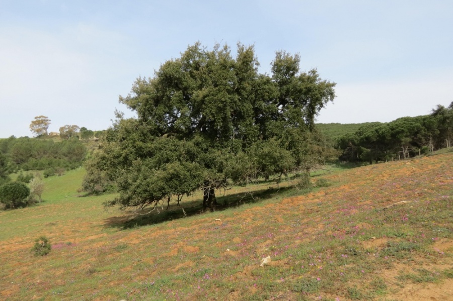 Montagna Ganzaria, un patrimonio da esplorare