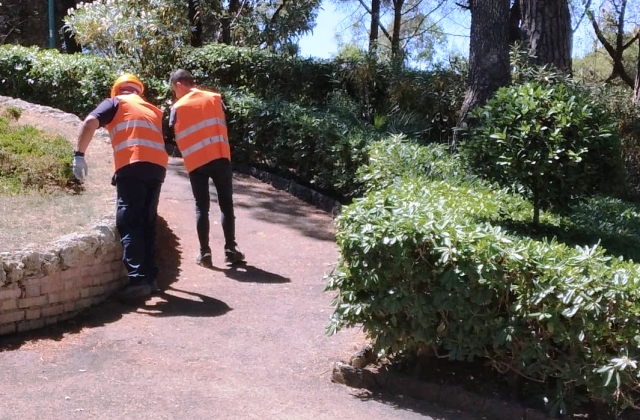 Caltagirone. 75 percettori Reddito cittadinanza al lavoro per spazzare strade, altri 4 ai Tributi