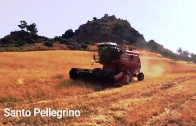 La "Festa del Grano" di Raddusa, Sagra di Qualità 2019, rinviata da sindaco Allegra al 2021 