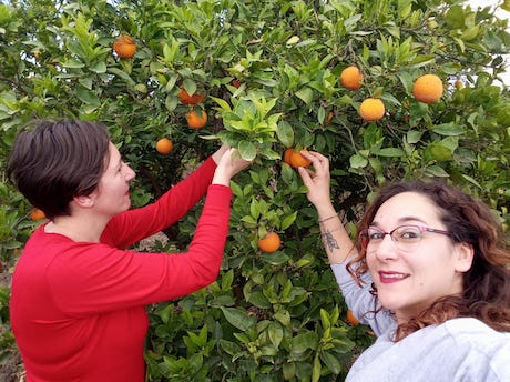 Agricoltura, Eleonora Valentino racconta l'avventura della sua azienda agricola