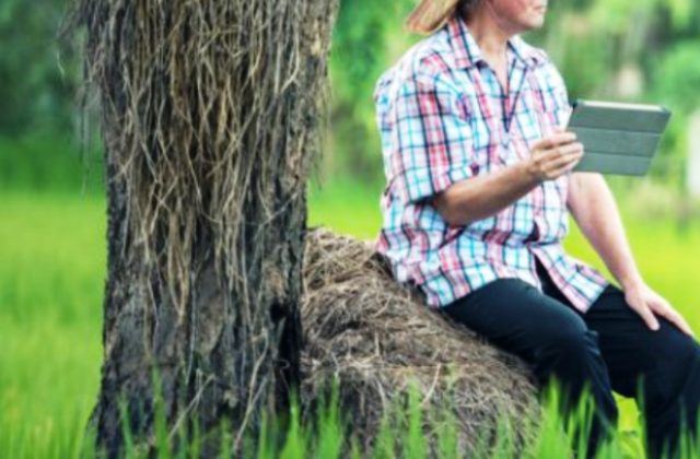 Bonus agricoltura per imprese agricole e agroalimentari: ecco come fare