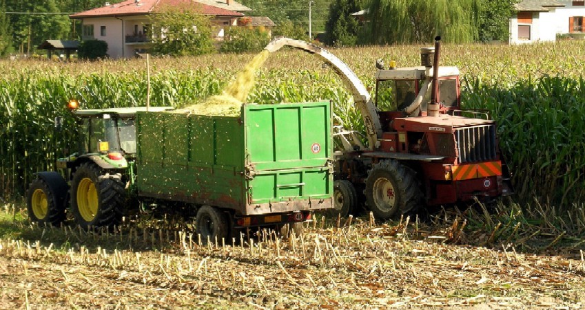 FINANZA AGEVOLATA A FAVORE DELLE IMPRESE DEL SETTORE AGRICOLO E AGROALIMENTARE