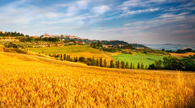 Sicilia, in arrivo 180 milioni di euro per lo sviluppo dell'agricoltura