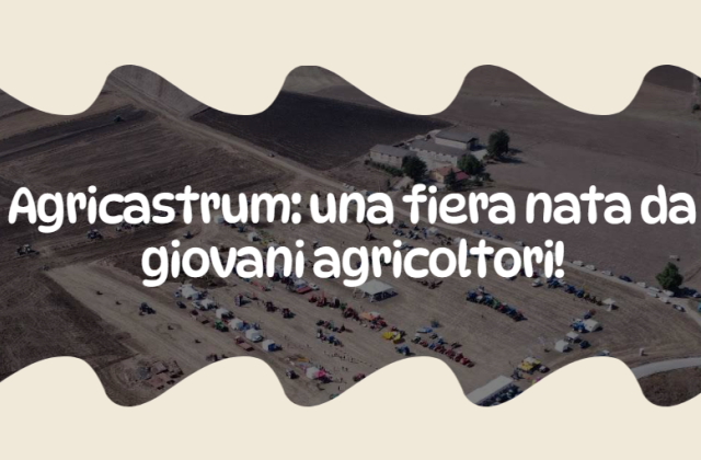 La più grande Fiera nel cuore della Sicilia. E' Agricastrum, la festa dei giovani agricoltori siciliani tenutasi nel territorio di Castronovo di Sicilia, dal 31 agosto al primo settembre