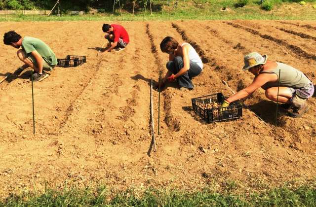 Bando “Coltiviamo Agricoltura Sociale”. E’ possibile partecipare fino al 20 ottobre 2023