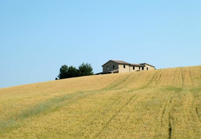 Sbloccati pagamenti Bando biologico 2013