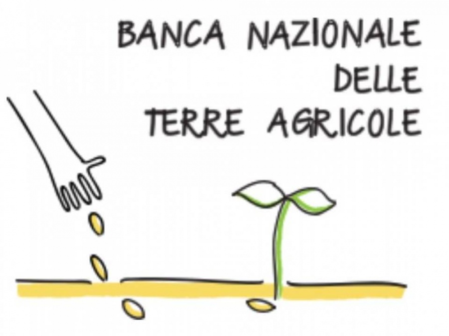 Banca delle Terre: al via la 2° asta per aggiudicarsi i terreni messi in vendita dall'ISMEA. Agevolazioni per i giovani che vogliano acquistare i terreni.