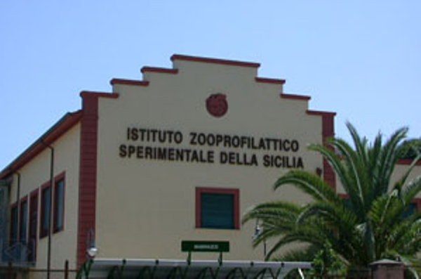 Il siciliano e l'acquisto del pesce tra mercati e grande distribuzione