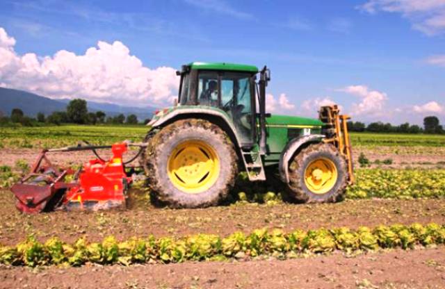  La "terra ai giovani" aspiranti imprenditori agricoli, con la Banca della Terra di Sicilia