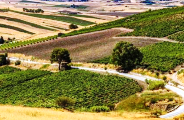 Viabilità rurale, dalla Regione Siciliana 65 milioni per gli imprenditori agricoli