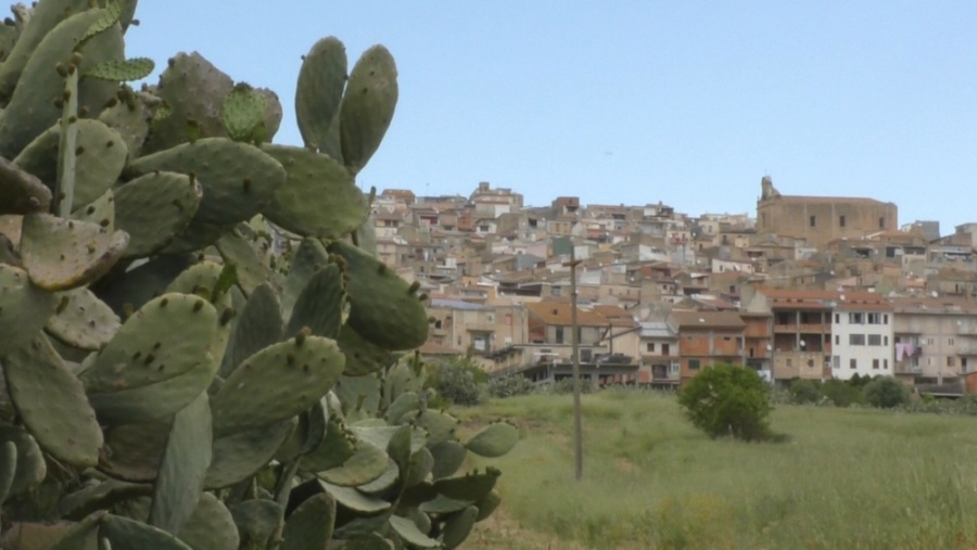 San Cono, "XXXIV Sagra del Ficodindia": Al via i preparativi