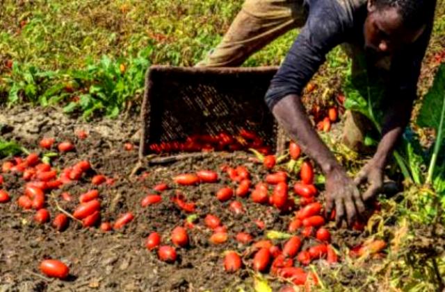 Immigrazione, mercoledì incontro a Ragusa sulla tutela dei lavoratori stranieri