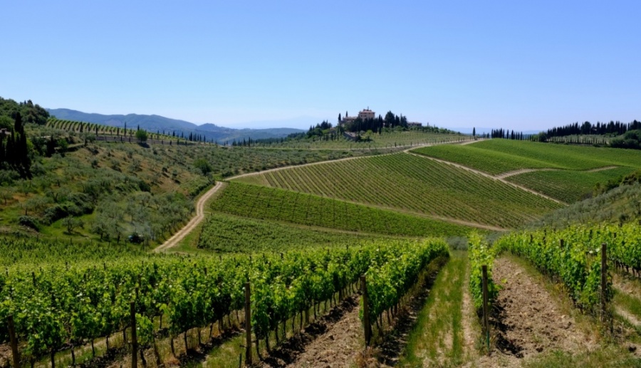 Sicilia, "Vendita diretta dei prodotti agricoli", ora è legge!