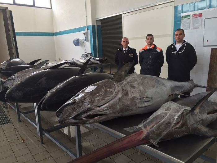 Pesca illegale di tonno e pesce spada: operazioni a Palermo, Pantelleria e Marsala