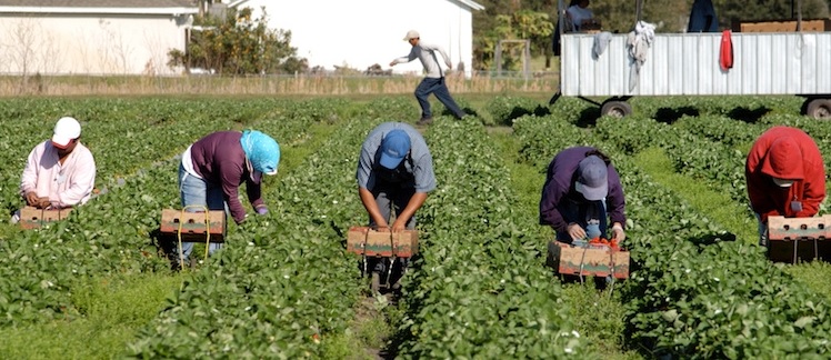 RAGUSA: SIGLATO PROTOCOLLO PER CONTRASTO A SFRUTTAMENTO LAVORATIVO E CAPORALATO IN AGRICOLTURA