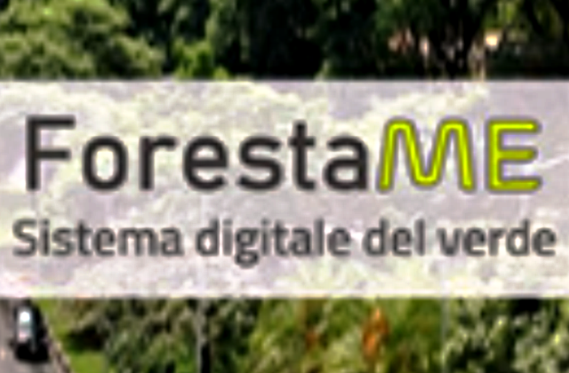 Invitalia. “ForestaME”, pubblicate le gare per realizzare il progetto di riforestazione urbana a Messina