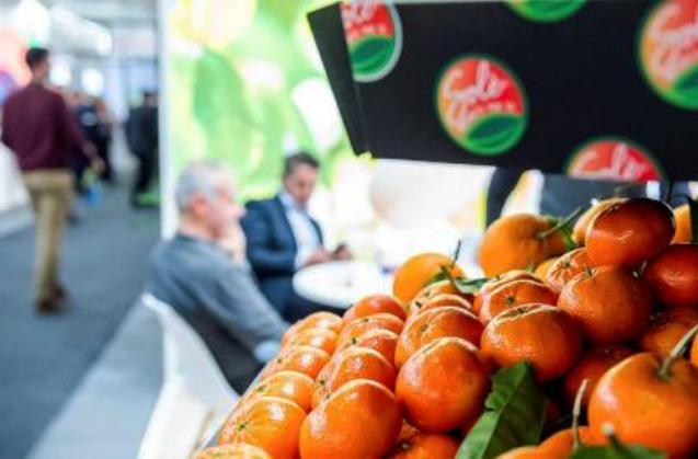 Regione Siciliana. Agricoltura, l'eccellenza siciliana sbarca alla Fruit Logistica di Berlino