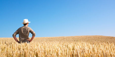 Primo Insediamento Ismea, ministro Martina: "Possibile ricambio generazionale in agricoltura"