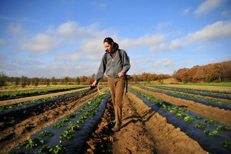 Agricoltura, al sud mercato fortemente asimmetrico