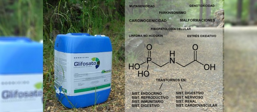 Glifosato, un divieto tardivo e superfluo