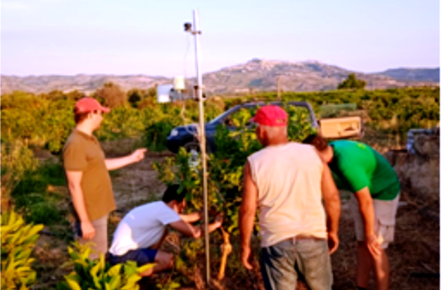 Unicoop Catania lancia l’intelligenza artificiale a supporto dell’agricoltura, per lottare la siccità
