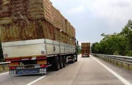 Al via lavori Sp.38/III, da Bivio Botteghelle Mazzarrone verso Licodia Eubea