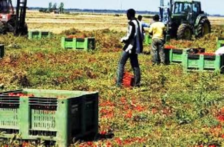 A Ragusa, cinque tavoli tematici contro lo sfruttamento del lavoro agricolo e l'illegalità