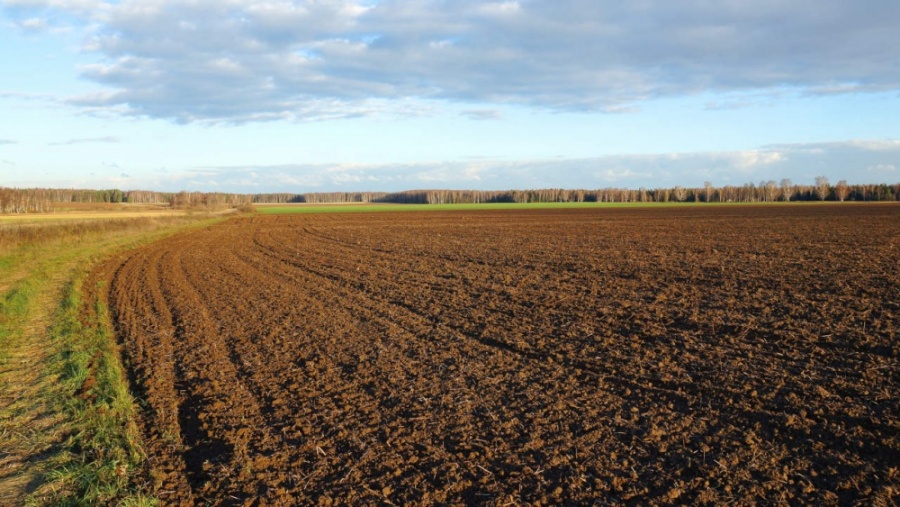 Con il Sud: Progetti per valorizzare terreni non utilizzati nelle regioni meridionali