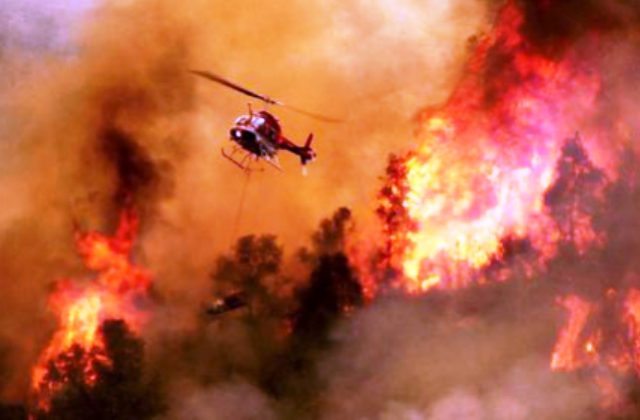 Incendi in Sicilia, Giusi Savarino (assessore al Territorio e Ambiente): «Verificheremo possibilità di collaborazione con il Cufaa»