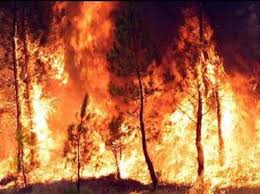 Sicilia, tanti incendi arrivano più forze