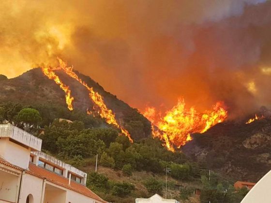 Incendi Sicilia: esposto di Forza Italia e M5S